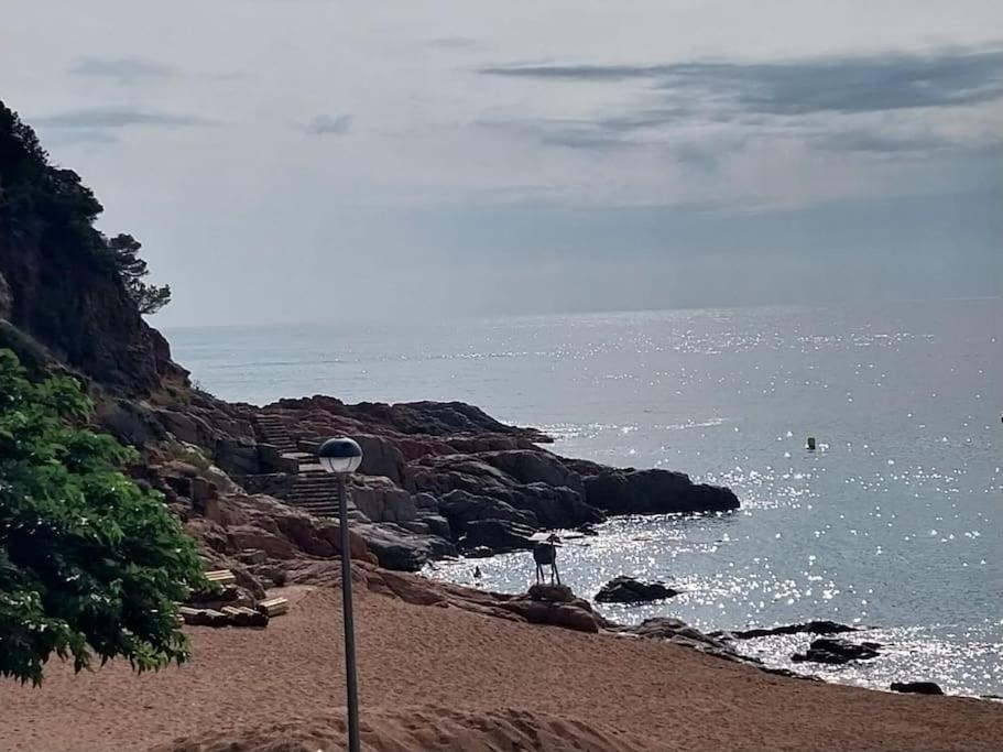 Cala Salions Balandro II Tossa De Mar Lägenhet Canet De Mar Exteriör bild