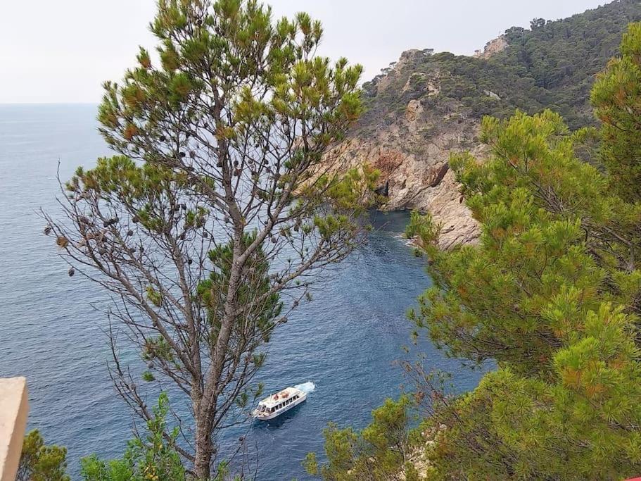 Cala Salions Balandro II Tossa De Mar Lägenhet Canet De Mar Exteriör bild