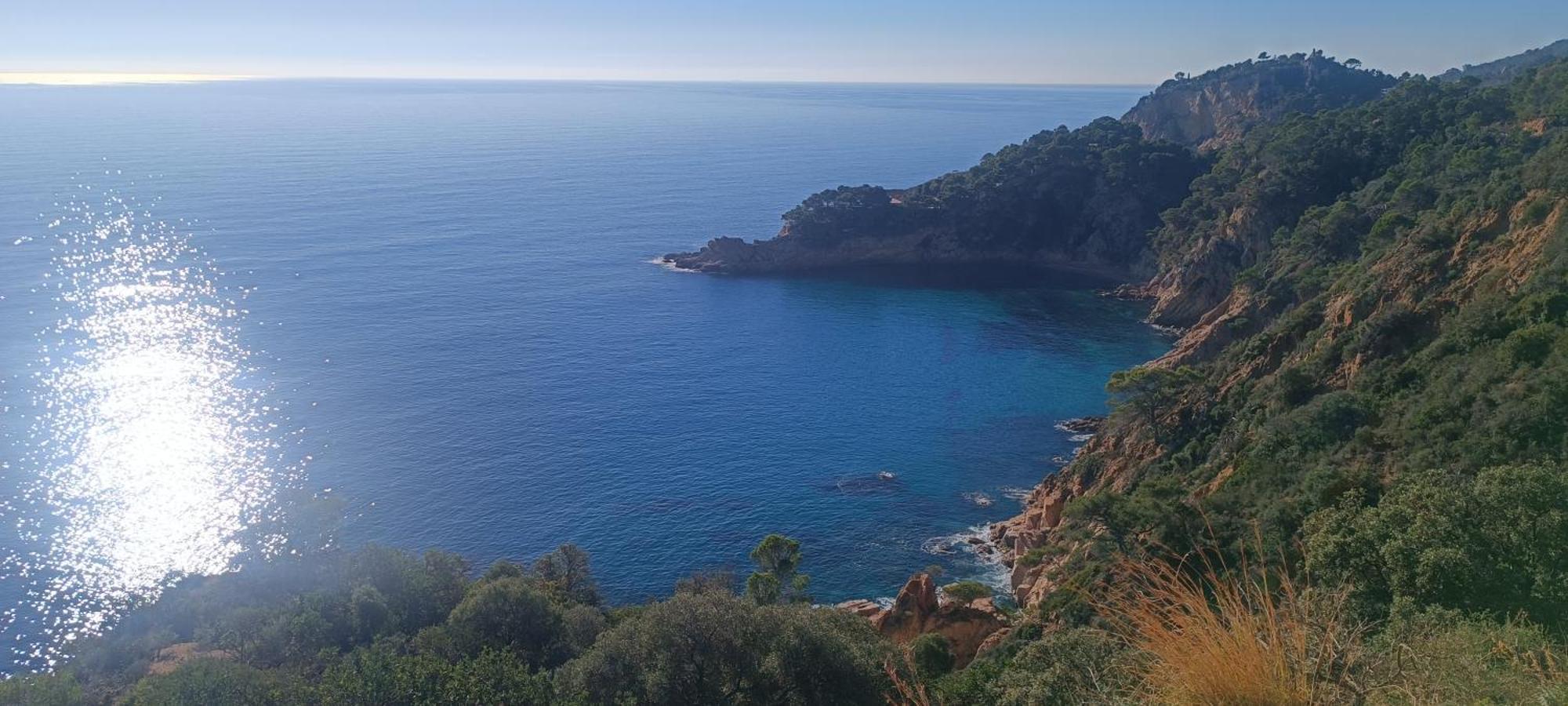 Cala Salions Balandro II Tossa De Mar Lägenhet Canet De Mar Exteriör bild